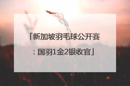 新加坡羽毛球公开赛：国羽1金2银收官