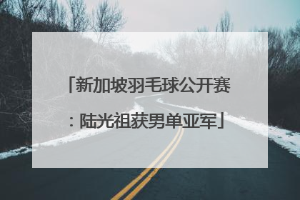 新加坡羽毛球公开赛：陆光祖获男单亚军