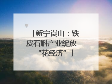 新宁崀山：铁皮石斛产业绽放“花经济”