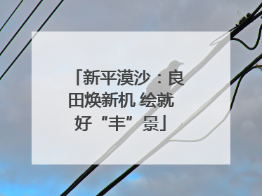 新平漠沙：良田焕新机 绘就好“丰”景