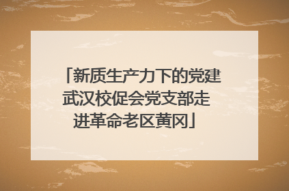 新质生产力下的党建 武汉校促会党支部走进革命老区黄冈