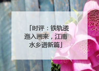 时评：铁轨逶迤入画来，江南水乡谱新篇