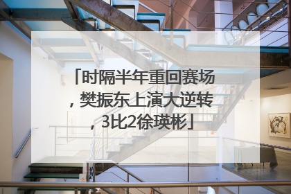 时隔半年重回赛场，樊振东上演大逆转，3比2徐瑛彬