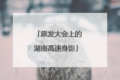 旅发大会上的湖南高速身影