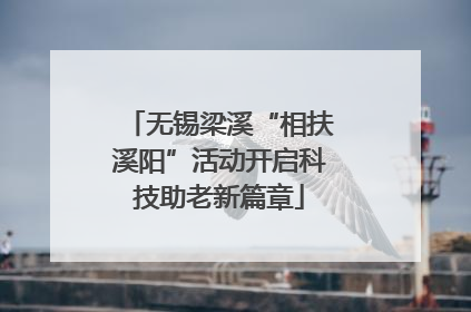 无锡梁溪“相扶溪阳”活动开启科技助老新篇章