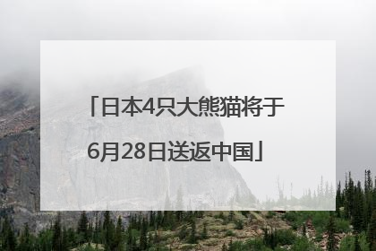 日本4只大熊猫将于6月28日送返中国