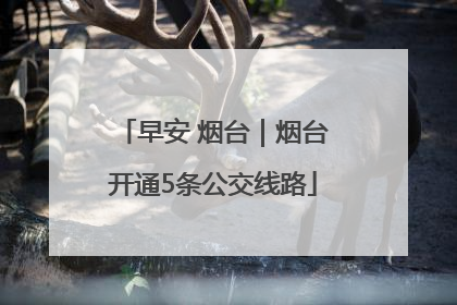 早安 烟台｜烟台开通5条公交线路