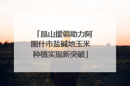 昆山援疆助力阿图什市盐碱地玉米种植实现新突破