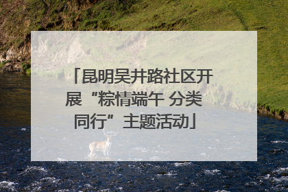 昆明吴井路社区开展“粽情端午 分类同行”主题活动