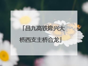 昌九高铁隆兴大桥西支主桥合龙