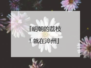 明朝的荔枝！就在漳州