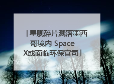 星舰碎片溅落墨西哥境内 SpaceX或面临环保官司