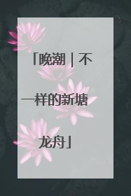 晚潮｜不一样的新塘龙舟