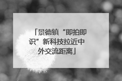 景德镇“即拍即识”新科技拉近中外交流距离