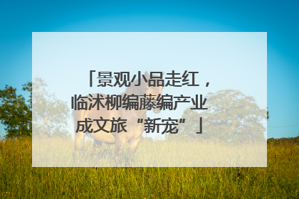 景观小品走红，临沭柳编藤编产业成文旅“新宠”