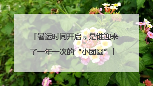 暑运时间开启，是谁迎来了一年一次的“小团圆”