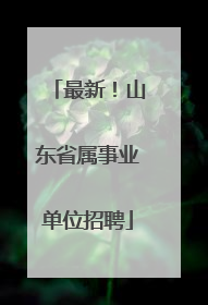最新！山东省属事业单位招聘