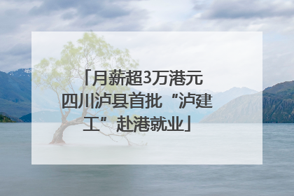 月薪超3万港元 四川泸县首批“泸建工”赴港就业