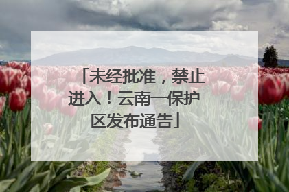 未经批准，禁止进入！云南一保护区发布通告
