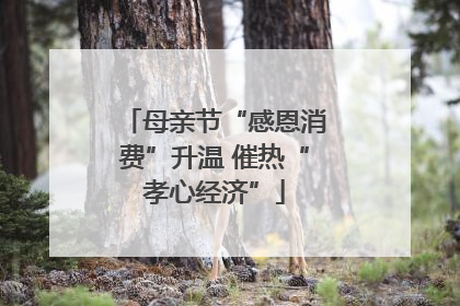母亲节“感恩消费”升温 催热“孝心经济”