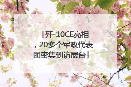歼-10CE亮相，20多个军政代表团密集到访展台