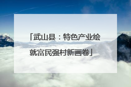 武山县：特色产业绘就富民强村新画卷