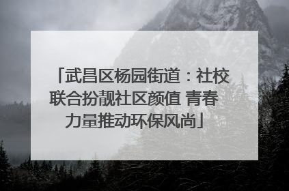 武昌区杨园街道：社校联合扮靓社区颜值 青春力量推动环保风尚