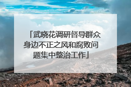 武晓花调研督导群众身边不正之风和腐败问题集中整治工作