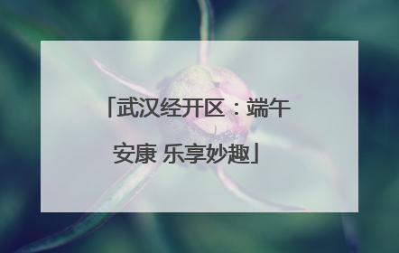武汉经开区：端午安康 乐享妙趣