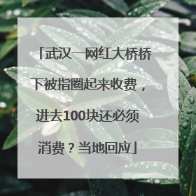 武汉一网红大桥桥下被指圈起来收费，进去100块还必须消费？当地回应