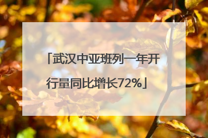 武汉中亚班列一年开行量同比增长72%