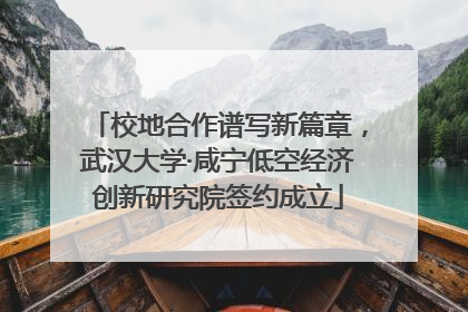 校地合作谱写新篇章，武汉大学·咸宁低空经济创新研究院签约成立