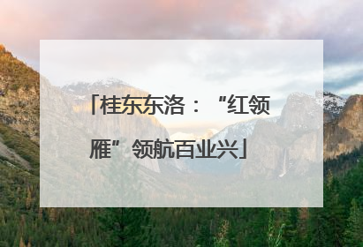 桂东东洛：“红领雁”领航百业兴