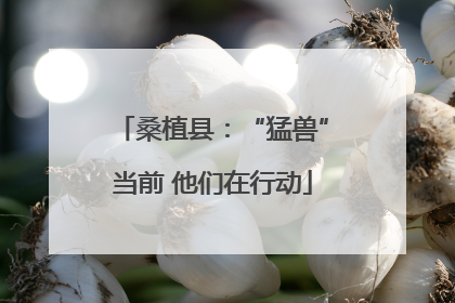 桑植县：“猛兽”当前 他们在行动