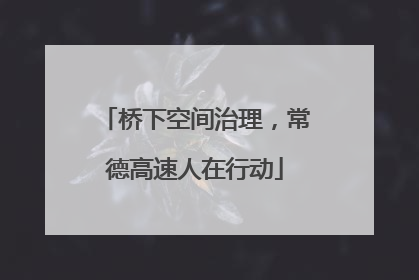 桥下空间治理，常德高速人在行动