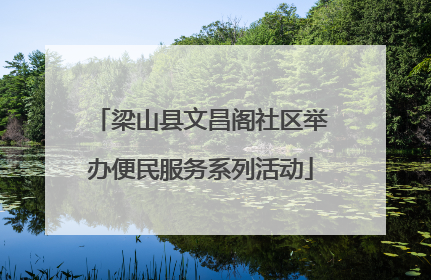 梁山县文昌阁社区举办便民服务系列活动