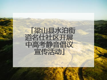 梁山县水泊街道名仕社区开展中高考静音倡议宣传活动