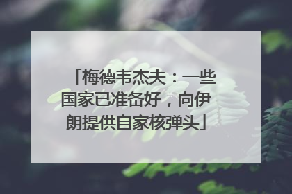 梅德韦杰夫：一些国家已准备好，向伊朗提供自家核弹头