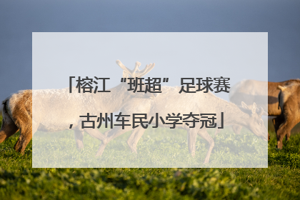 榕江“班超”足球赛，古州车民小学夺冠