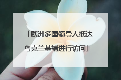 欧洲多国领导人抵达乌克兰基辅进行访问