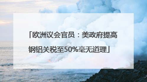欧洲议会官员：美政府提高钢铝关税至50%毫无道理
