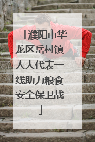 濮阳市华龙区岳村镇人大代表一线助力粮食安全保卫战