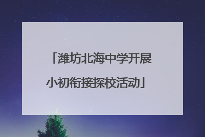 潍坊北海中学开展小初衔接探校活动