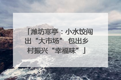 潍坊寒亭：小水饺闯出“大市场” 包出乡村振兴“幸福味”