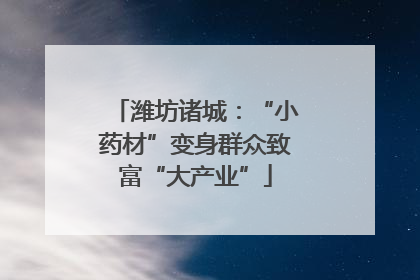 潍坊诸城：“小药材”变身群众致富“大产业”