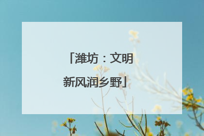 潍坊：文明新风润乡野