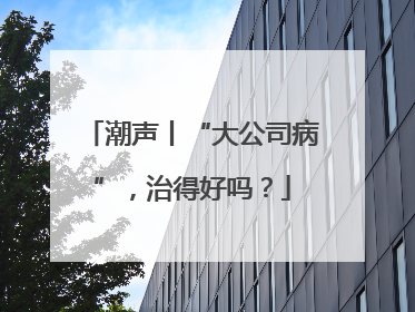 潮声丨“大公司病”，治得好吗？