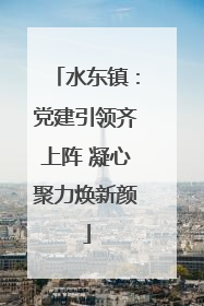 水东镇：党建引领齐上阵 凝心聚力焕新颜