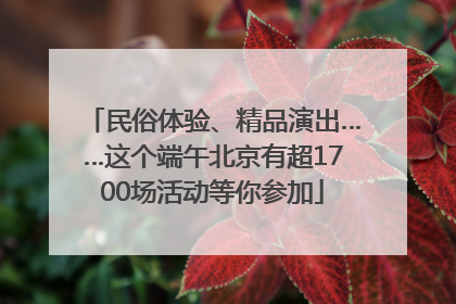 民俗体验、精品演出……这个端午北京有超1700场活动等你参加