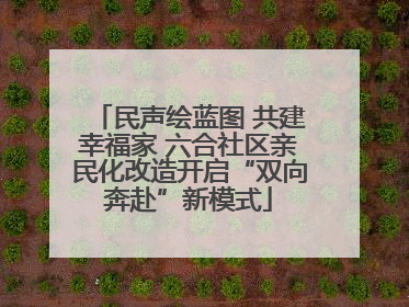 民声绘蓝图 共建幸福家 六合社区亲民化改造开启“双向奔赴”新模式